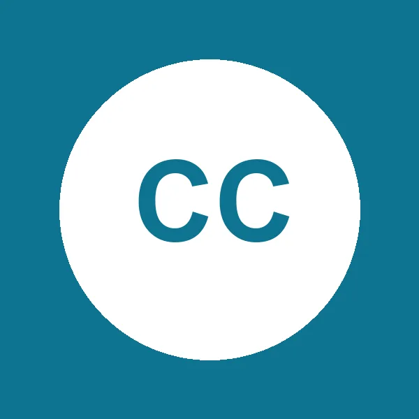 Logo de Calzados Camino
